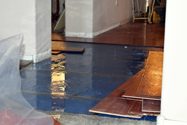 Professional Emergency Water Damage Restoration technician working in Houston, OH